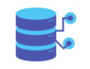 E shop hosting 