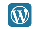 Wordpress design 
